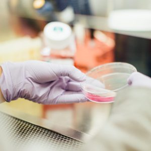 Lab equipment for biologics discovery